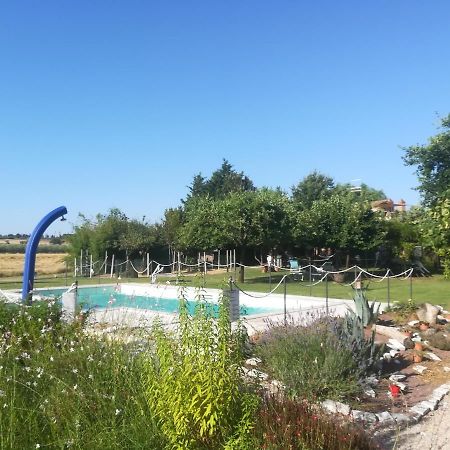 Agriturismo Dolce Verde Кастильоне дел Лаго Екстериор снимка