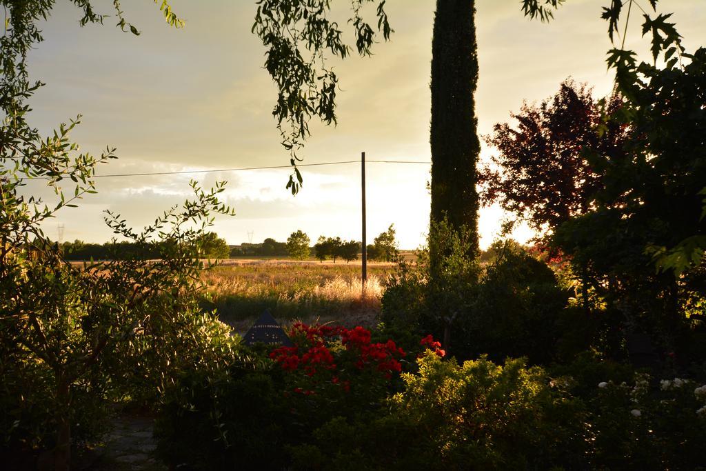 Agriturismo Dolce Verde Кастильоне дел Лаго Екстериор снимка