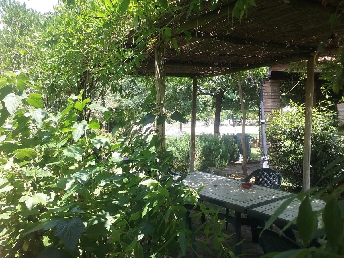 Agriturismo Dolce Verde Кастильоне дел Лаго Екстериор снимка