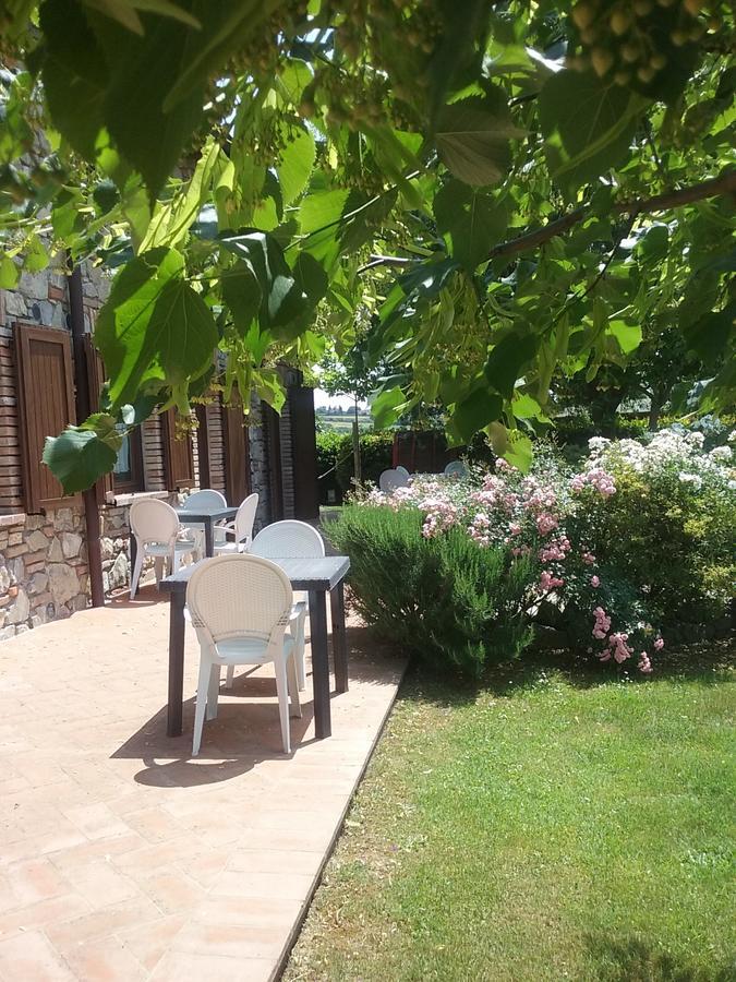 Agriturismo Dolce Verde Кастильоне дел Лаго Екстериор снимка